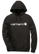 Carhartt Delmont Graphic Hooded Sweatshirt